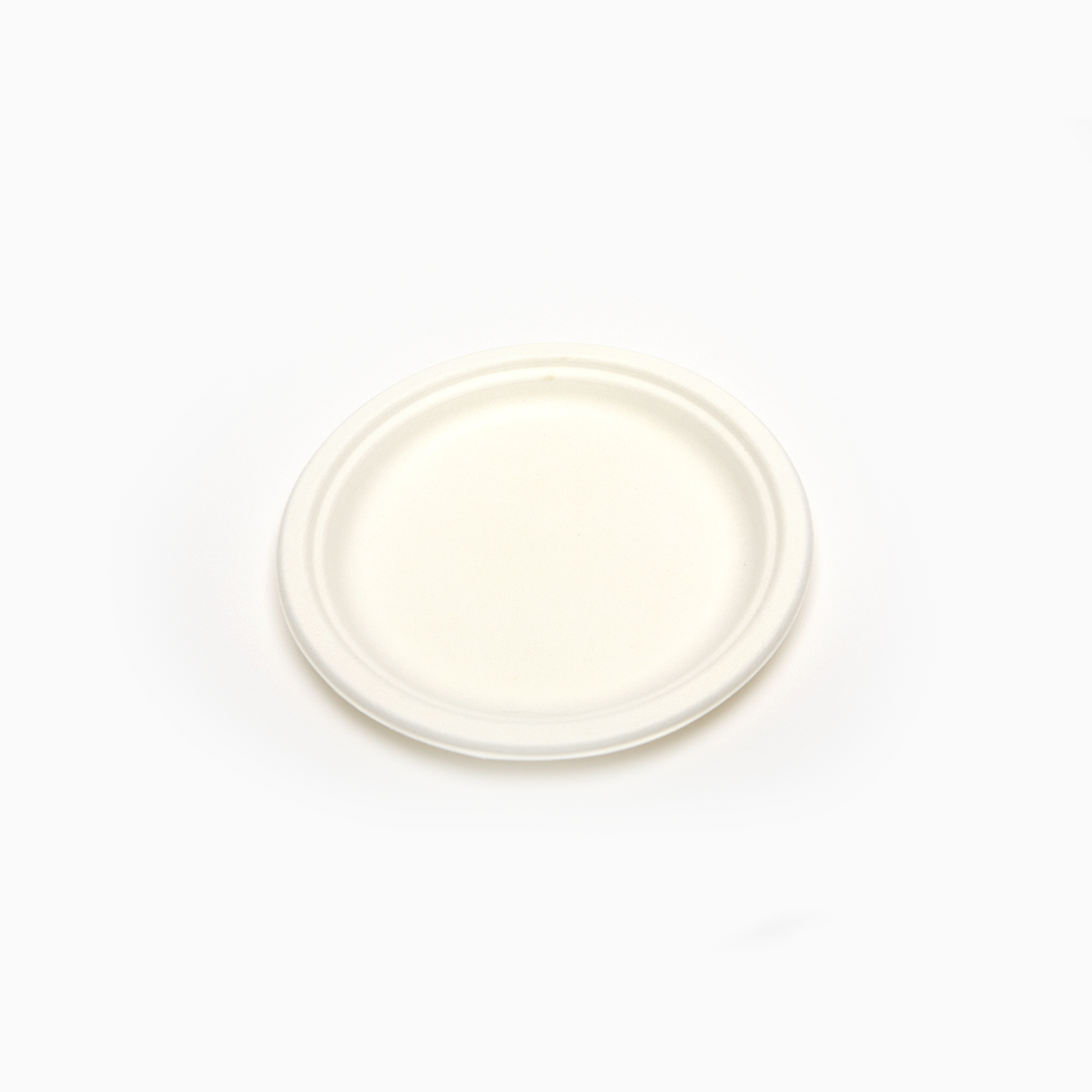 Bagasse 10" Plates